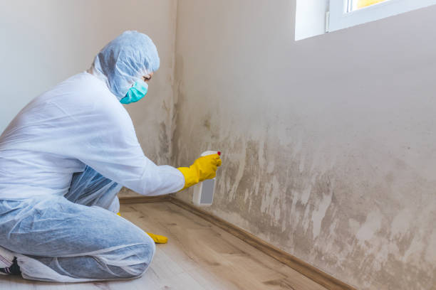 Bathroom Mold Removal assessment in Louisville bathroom